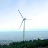 Small Wind Power 200kw Wind Turbine Generator for Business