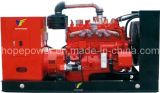 Gas Generator Set 15kw (HP15-B)
