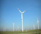 Steel Poles of Three Baldes Wind Power Generator