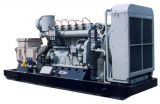 250kw CNG Power Generator Sets