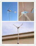 Ew-1000W Wind Turbine