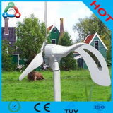 Wind and Solar Panel Hybrid Electric Generating System