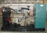 CE Approved Gas Generating Sets (6KW-500KW)