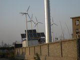 5kw Pitch Controlled Factory Used off-Grid Wind Power Generator
