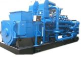 Biogas Generator Set with Accessories