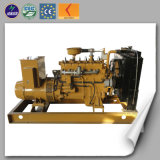 High Quality Lhng40 Gas Generator with CE/ ISO Certification
