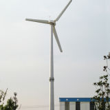 Small Eolic Energy Generator 30kw Wind Generator