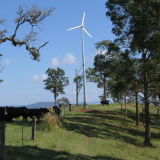 Home Wind Power 3000W Wind Turbine Generator CE