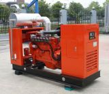 Gas Generator Set (YLG-C303N)