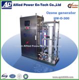300g/H Swimming Pool Ozone Generator for Water Disinfection