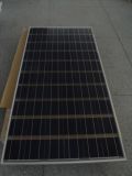 Poly 230W Solar Panel