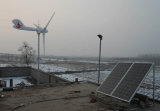 1kw Wind/Solar Power System