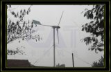 30kw Wind Generator
