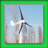 Wind Turbine Generator (CH-TYN401)