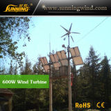 Residential Wind Generator 600W Wind Turbine Generator Home Use