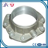 Fujian Shengya Mould Co., Ltd.