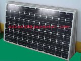 Monocrystalline Solar Module (JYPV-300W)
