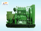 40kw Flexible Installation Capacity Biogas Generator Set