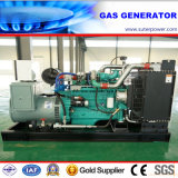 100kVA/80kw LPG/Natural Gas Generator with Cummins Power Plant