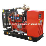30kw Natural Gas Generator with CE and ISO Certificates / Cummins Power Genset