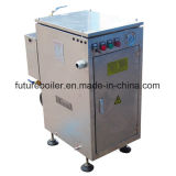 Stainless Steel Steam Generator Electric