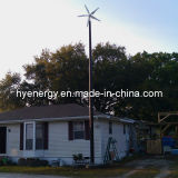 Hye 3kw Wind Turbine on-Grid System (HY-3000L)
