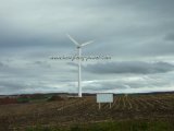 100kw Wind Turbine Generator with Free Stand Tower Pole