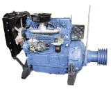 Diesel Engine (YX495G)