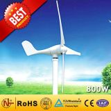 800W Wind Generator From China Manufactory (Wind Turbine Generator 90W-300KW)