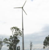 Reliable Wind Power Generator Set 3000W for Home
