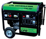 NG/LPG Generator