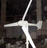300W Horizontal Axes Wind Generator
