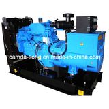 Cummins Diesel Genset (160KW)