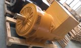 Newage Faraday AC Brushless Dynamo Generator 3-Phase Generator Alternator