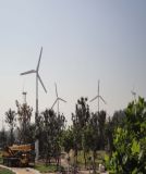 Hortizontal Axis Wind Turbine (Generator) 20kw/120rpm