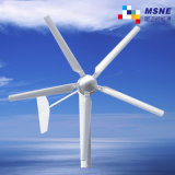 Wind Turbine Generator 3kw with Individual Developed Patented Technologies (Y-3000W)