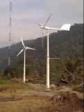 Leading Centrifugal Pitch Controlled Technology Ah-10kw Wind Power Generator