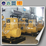 ISO & CE Approved Coal Gas Generator Set 500kw
