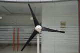 200W Wind Turbine/Wind Generator/Windmill (J-200H)