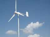 300W-20kw Home Use Permanent Magnetic Motor Wind Turbine Generator