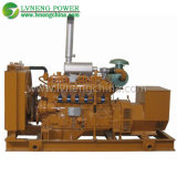 Lvneng Hot Sale Bio Gas Generator with Competitive Price