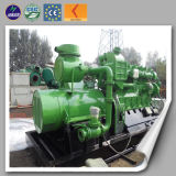 Natural Gas Power Generator Set (10kw - 2000kw)