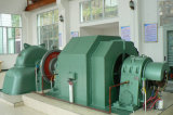 Pelton Turbine and Generator (SFW3200-8/1730)