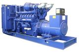 Perkins Series Diesel Generator Set (NPP22)