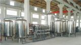 Water Treatment Plant RO Plant of Pure or Mineral (WHSF)