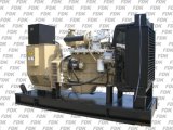 Diesel Generator Powered by Cummins Engine (FCG77)