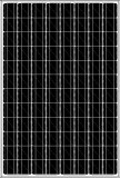 230W 48V Mono Solar Panel