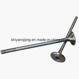Cummins M11 Engine Parts for Intake Valve (4926069)