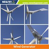 800W Permanent Magnet Motor Wind Generator