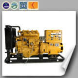 Lvhuan Power 20kw Small Biogas Generator Set for Sale to Russia
